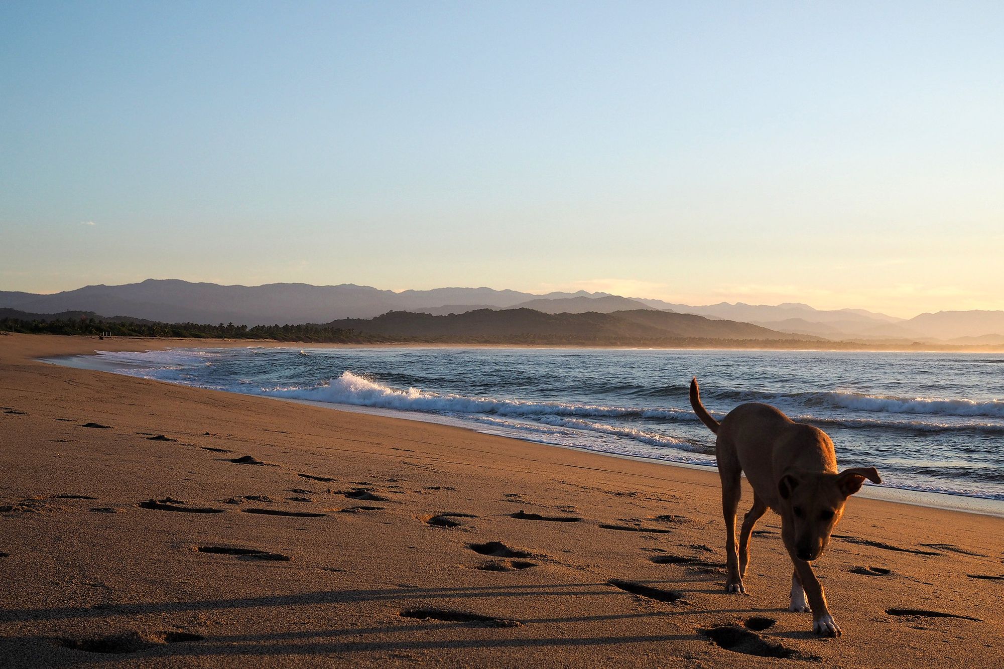 Chacahua beach is an exotic paradise in Oaxaca state in Mexico. 