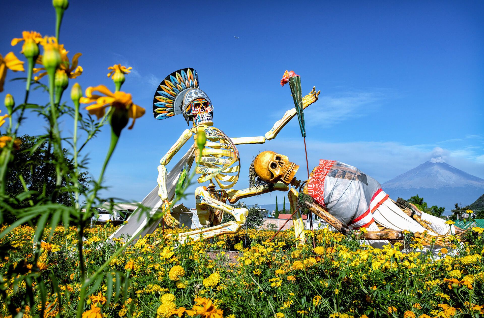 Larger-than-life mannequins of the warrior Popocatépetl and his fiancée Princess Iztacíhuatl in a field of cempasúchil flowers. In the background, the volcano Popocatépetl is erupting. (Photo: Václav Lang)