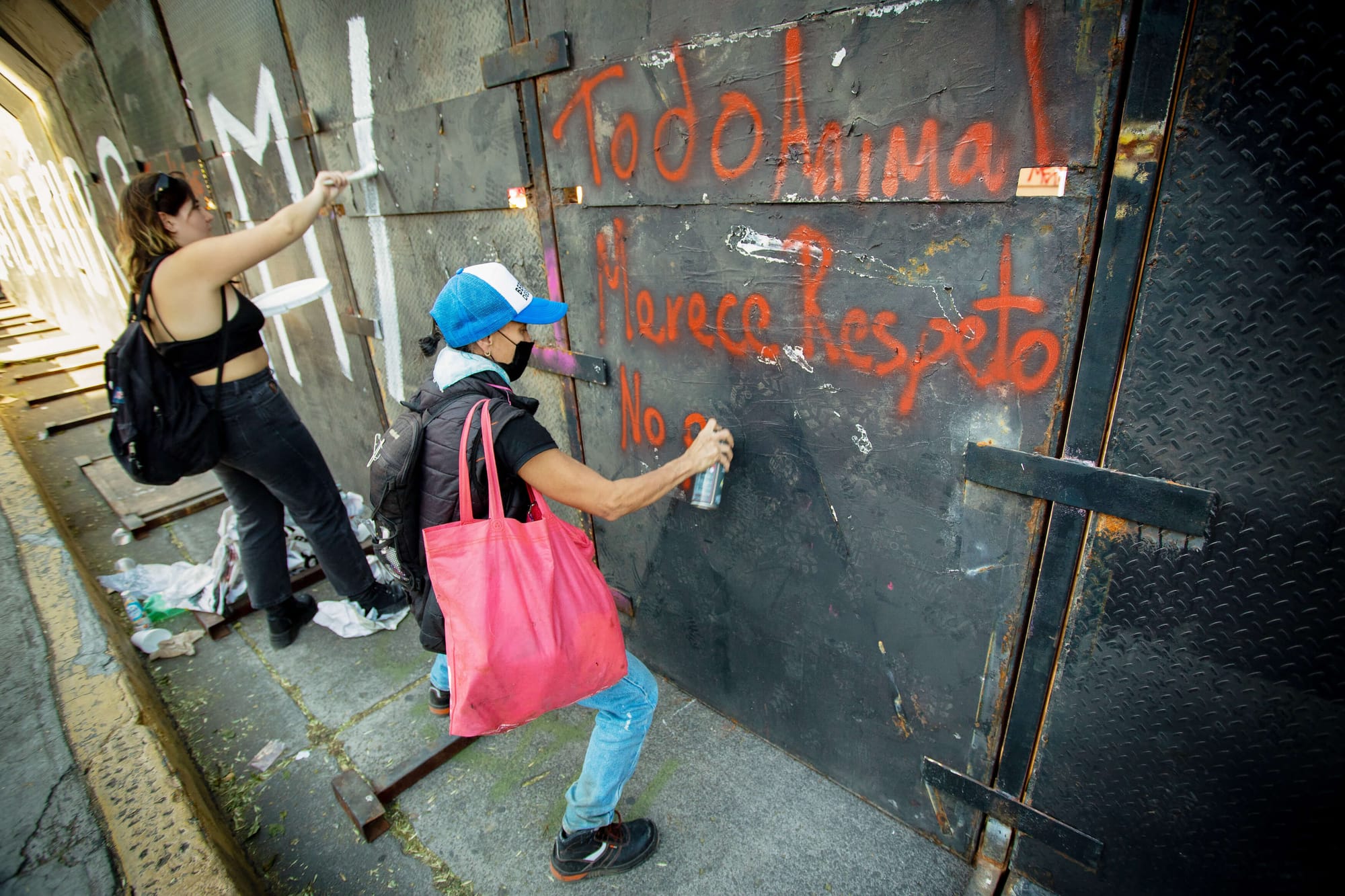 Death in the Afternoon: Bullfighting has returned to Mexico City