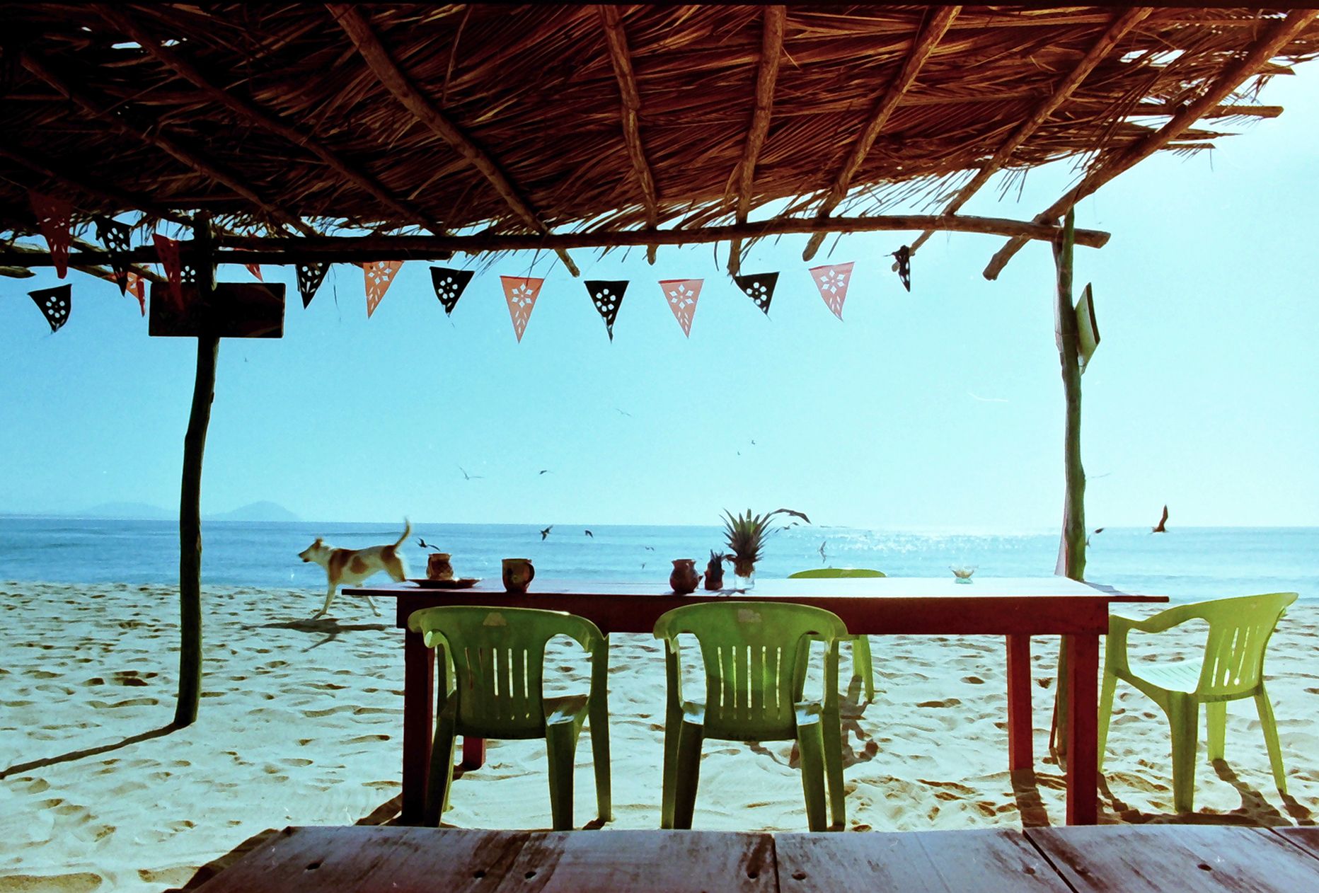 Chacahua beach is an exotic paradise in Oaxaca state in Mexico.